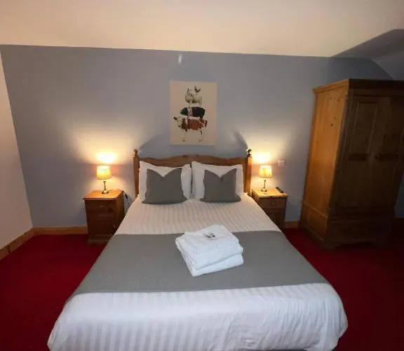 Marina Bed & Breakfast Dingle